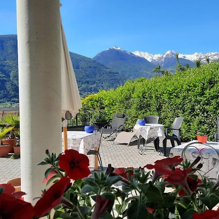 Bianzone B&B Il Grappolo المظهر الخارجي الصورة