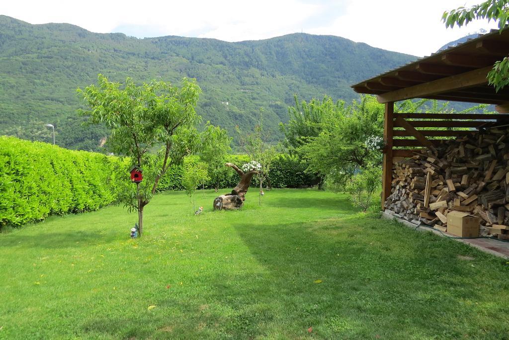 Bianzone B&B Il Grappolo المظهر الخارجي الصورة
